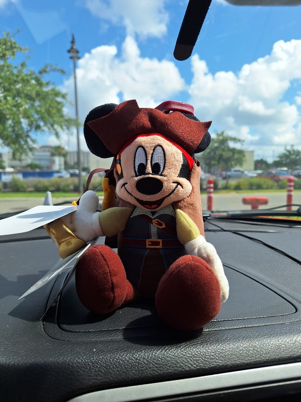 Pirate Mickey Mouse Bottle Holder With Bottle